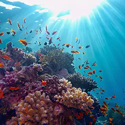 under water
