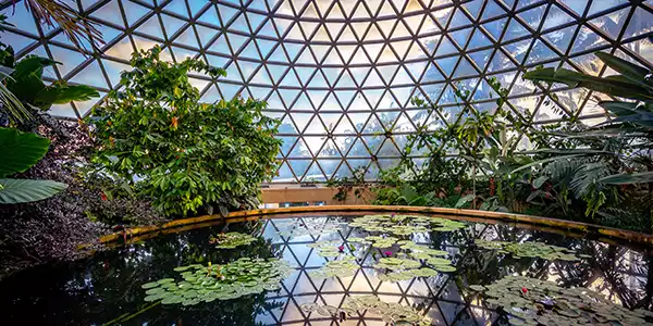 Botanical Garden