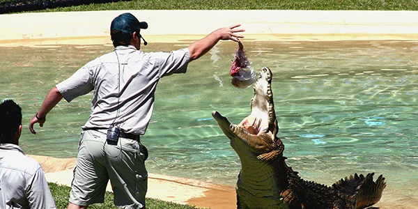Australia zoo