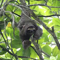 Nationalpark Cahuita