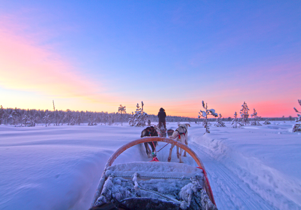 ruf Rundreise Finnland - Schlittenhundtour Auf dem Hundeschlitten durch unberührte Landschaften.
