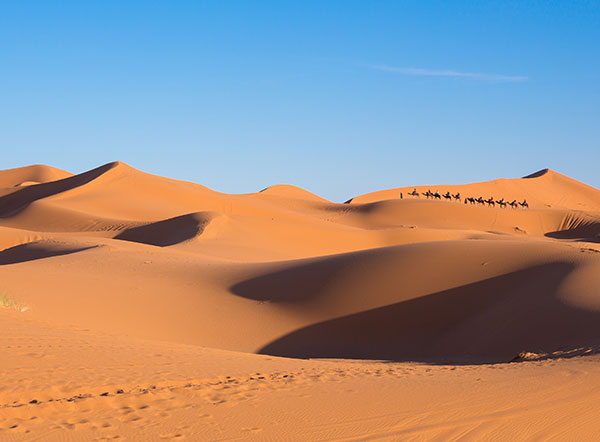 Die Sahara Die Sahara