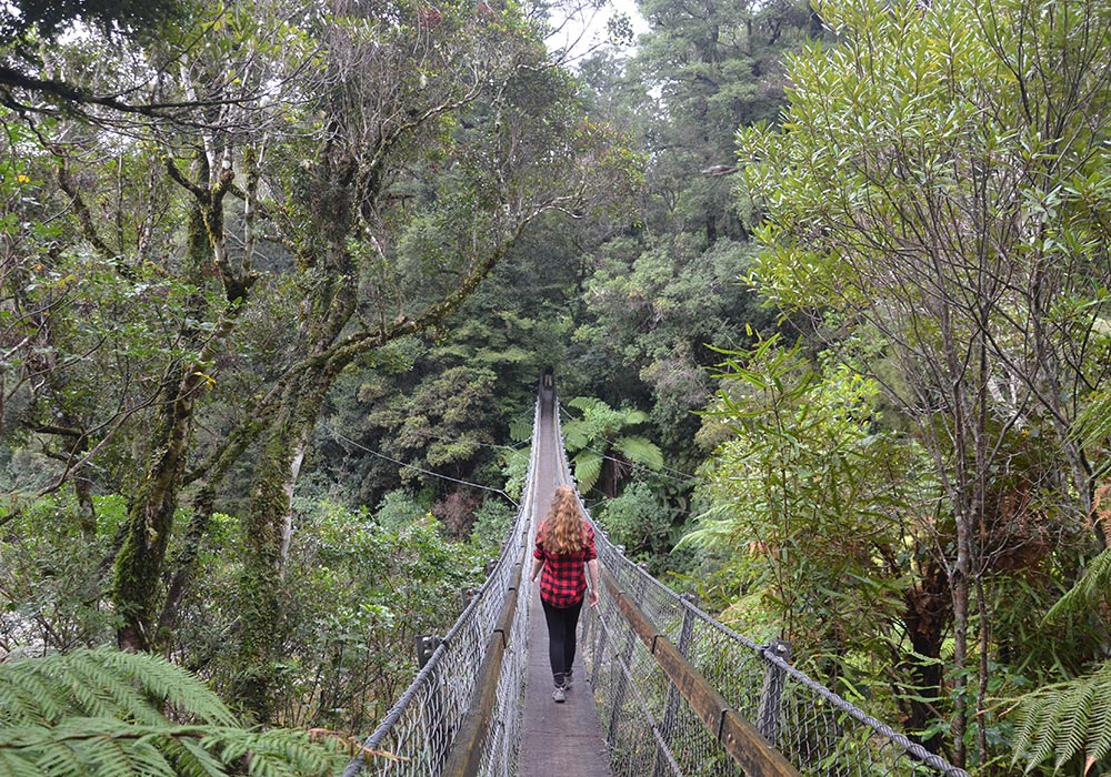 Neuseeland - Südinsel Matai Walk Way