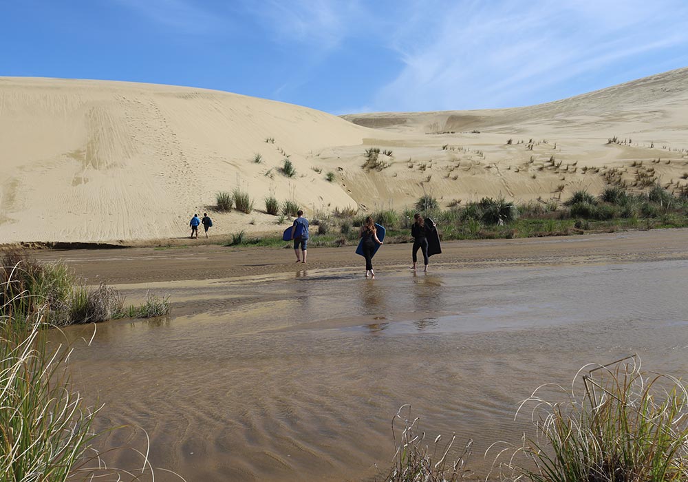 Neuseeland - 90 Miles Beach Mit Sandboards am 90 Miles Beach die Dünen runter