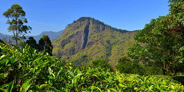 Bandarawela Bandarawela