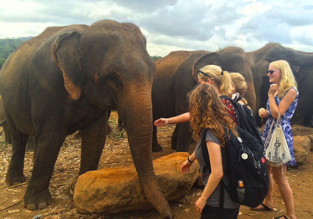Rundreise Sri Lanka - Elefanten Besuch eines Elefantenwaisenhauses.