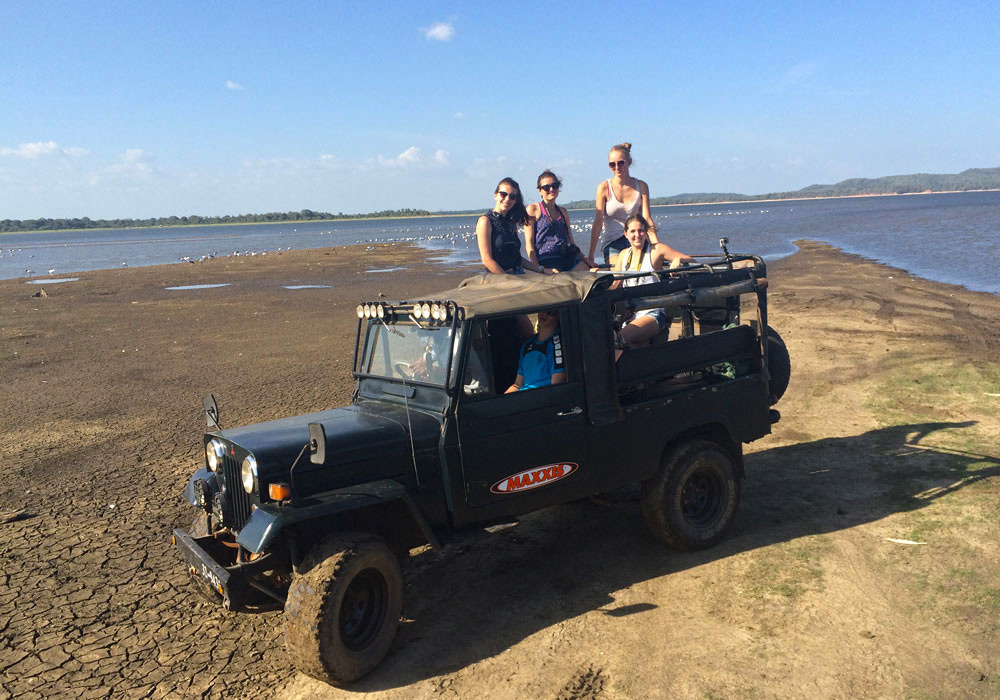 Rundreise Sri Lanka - Jeeptour Auf Safari im Nationalpark!