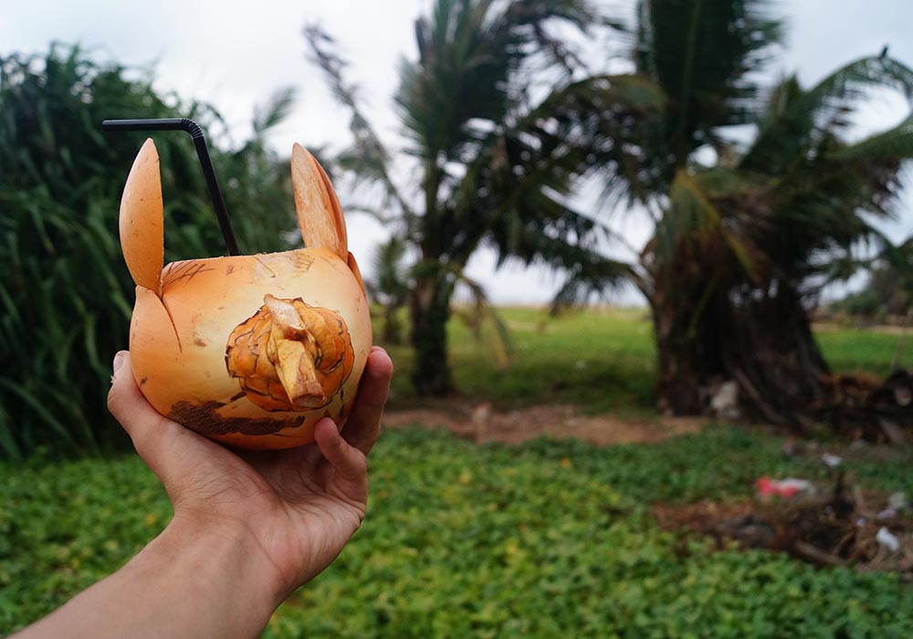 Rundreise Sri Lanka - landestypisch- Speisen King Coconut!