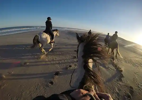 Ausritt am Strand