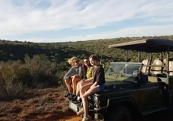Safari
