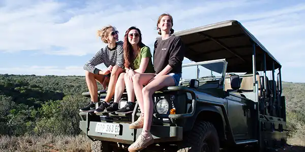 safari