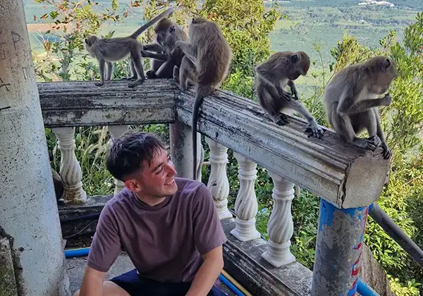 Affe auf der Thailand Rundreise an Silvester