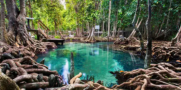 Emerald Pool