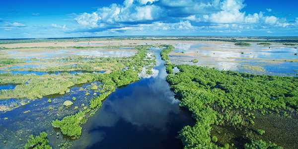 Everglades-Nationalpark Everglades-Nationalpark