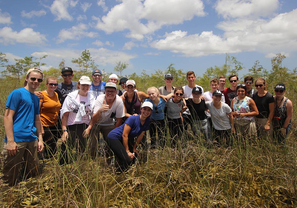 Rundreise Florida - Everglades Die Everglades hautnah.