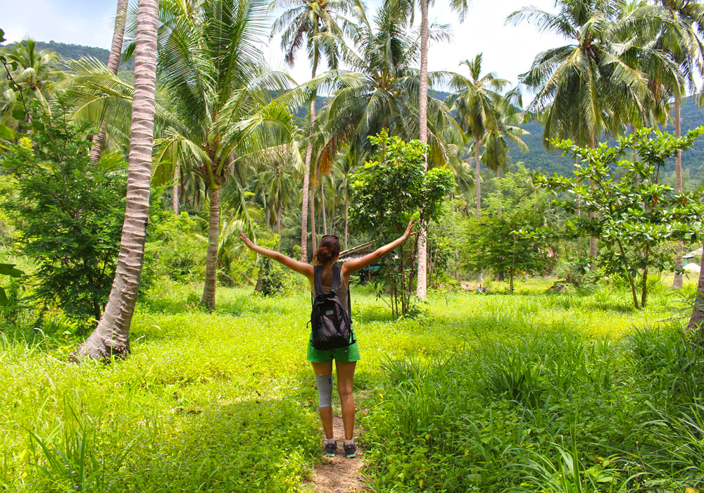 Vietnam Rundreise Spaziergang durch den Dschungel!
