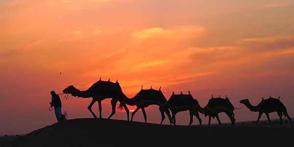 Wüstensafari Dubai Wüstensafari Dubai