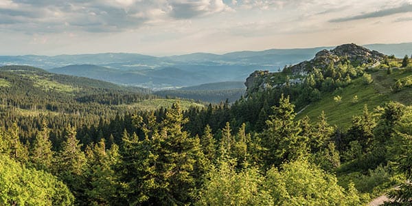 Wandern im Nationalpark Wandern im Nationalpark