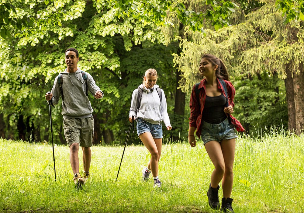 Wandern im Bayerischen Wald Entdecke den Bayerischen Wald bei einer Hikingtour.