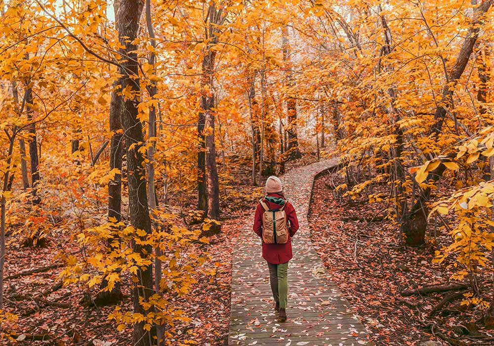 Bayerischer Wald Erlebe den Indian Summer in Deutschland.