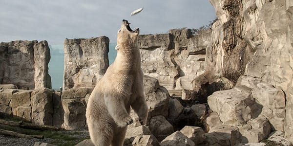 Besuch im Zoo Besuch im Zoo