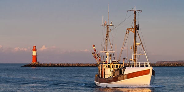 Fischkutter Fischkutter