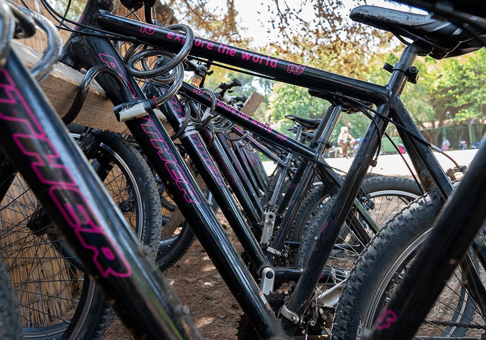 bike Erkunde mit dem Fahrrad die weitläufige Insel.