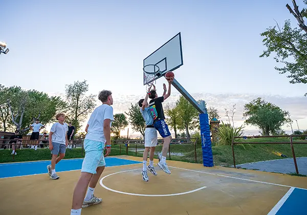 Basketball