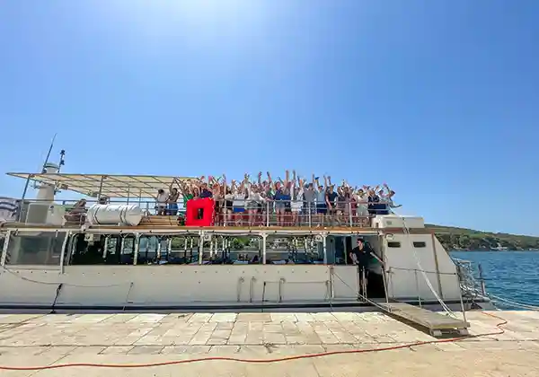 Cruise