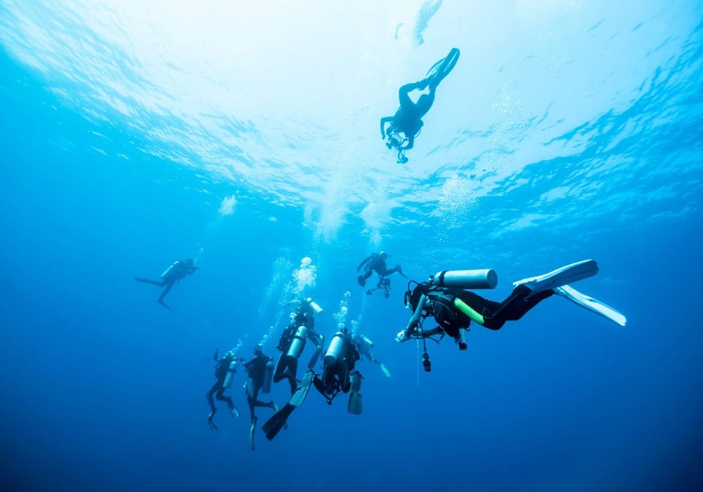 Malta, Bugibba - Tauchen Entdecke das Unterwasserparadies beim Schnuppertauchen.