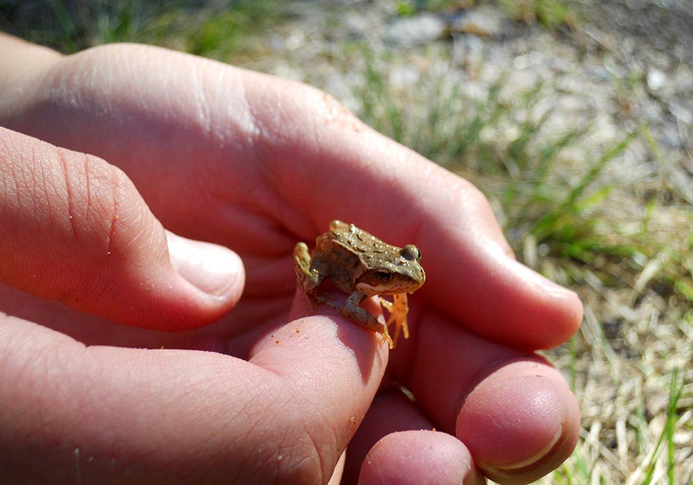 Skagerbrunn - Natur genießen! Die freie Natur erleben und genießen