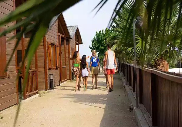 Camp