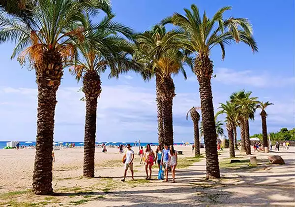 Malgrat de Mar