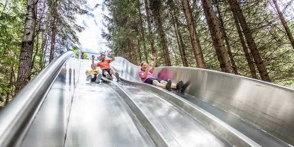 Waldrutschenpark Spaß im Waldrutschenpark