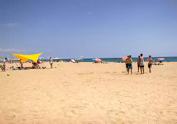 Strand