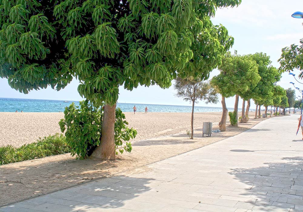 kilometerlanger Strand Der kilometerlange Sandstrand kann sich wirklich sehen lassen.