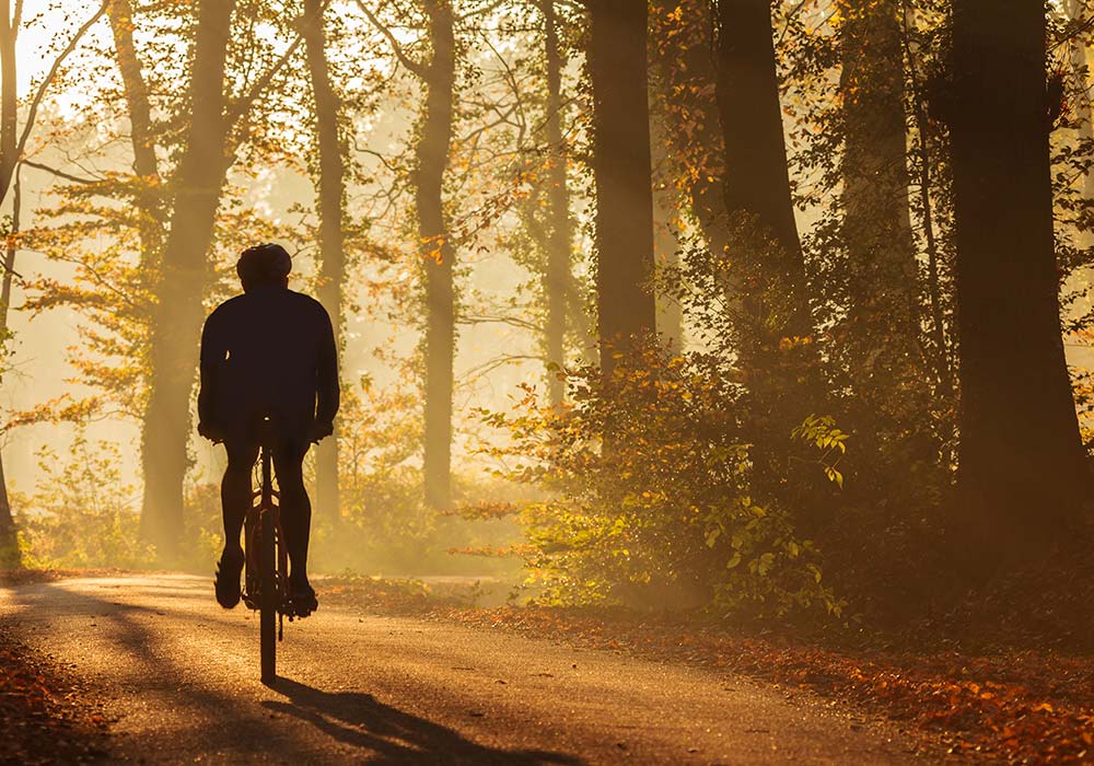 Fahrrad Mit dem Mountainbike kannst du die herbstliche Gegend erkunden.
