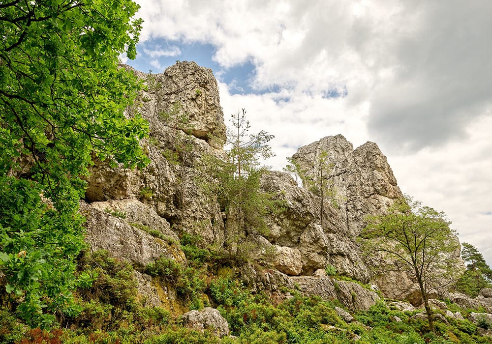 Natur Mach mit uns eine Wandertour durch den 1. Nationalpark Deutschlands.