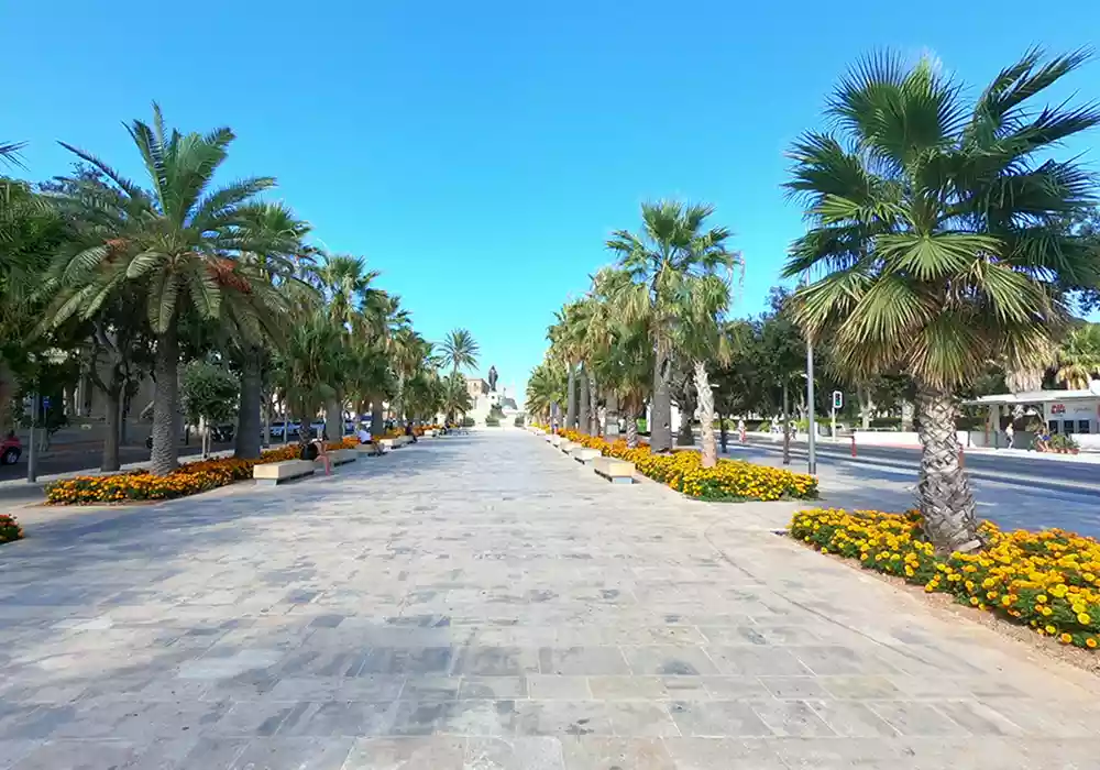 Palmen